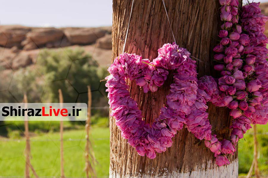 میمنـد در سـودا ی صـادرات 250 میلیـون تومـانی اسـانس گـل