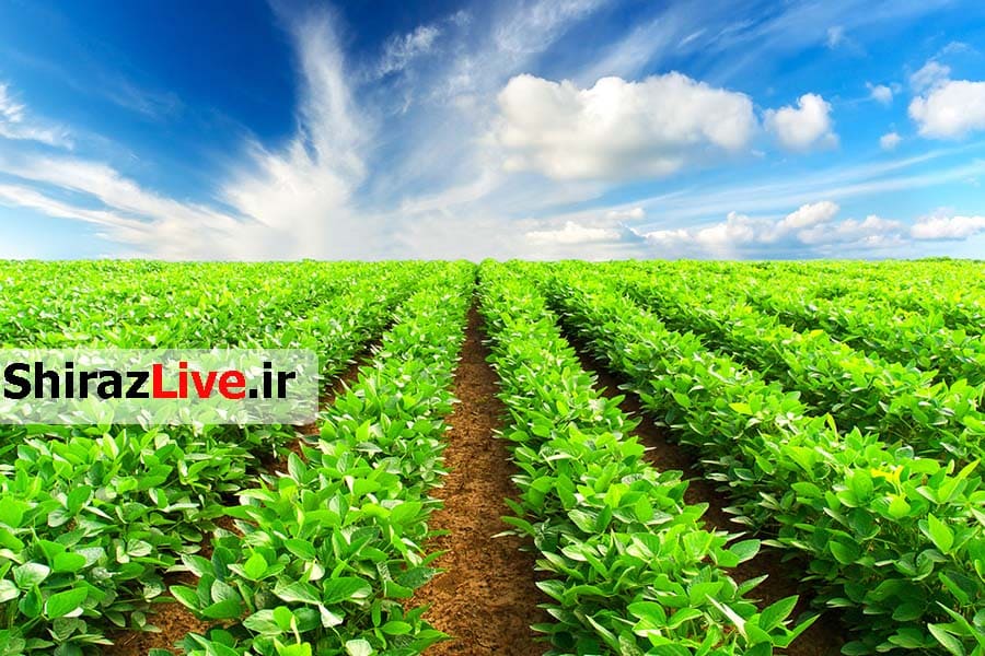 در امنیت غذایی، 83 درصد خودکفایی داریم